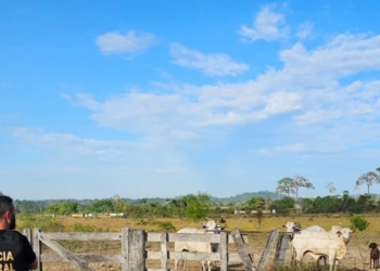 Polícia Federal prende maior suspeito de devastar Amazônia já investigado