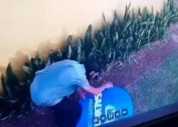 Homem é preso por vandalizar placa próximo à estátua de Mãe Stella de Oxóssi