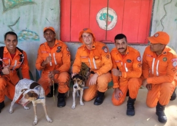 Resgate de cães em morro de 350m mobiliza bombeiros e drone em Itamaraju