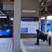 Salvador: Prefeitura anuncia empresas que construirão estações da Linha 2 do BRT