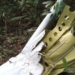 Queda de avião de pequeno porte deixa 12 mortos no Acre