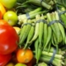 Agricultura familiar vai fornecer alimentos de qualidade às escolas