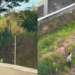 Influenciador expõe ‘maníaco’ que observava sua namorada