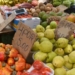 Bahia discute ações de prevenção e combate à mosca da carambola