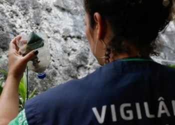 Dengue e chikungunya levam Minas Gerais a decretar emergência