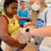 Mais de 3 mil doses de vacina v10 para cães serão disponibilizadas a partir de quarta-feira