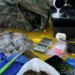 Câmeras de videomonitoramento e drogas são localizadas em Salvador