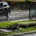 Carro roda em pista e bate em poste em Salvador