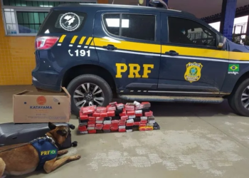 Homem é preso com quase 57kg de maconha no interior da Bahia