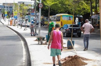 Prefeitura inicia plantio de 50 novas árvores na Avenida Suburbana