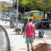 Prefeitura inicia plantio de 50 novas árvores na Avenida Suburbana
