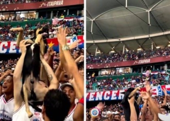 Cachorro ‘comemora’ triunfo do Bahia nos braços da torcida na Fonte Nova; veja vídeo