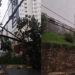 Após chuva, árvore cai e fica pendurada sobre fiação no Caminho das Árvores