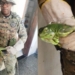 Camaleão é resgatado dentro de casa na Pituba enquanto moradora dormia no sofá