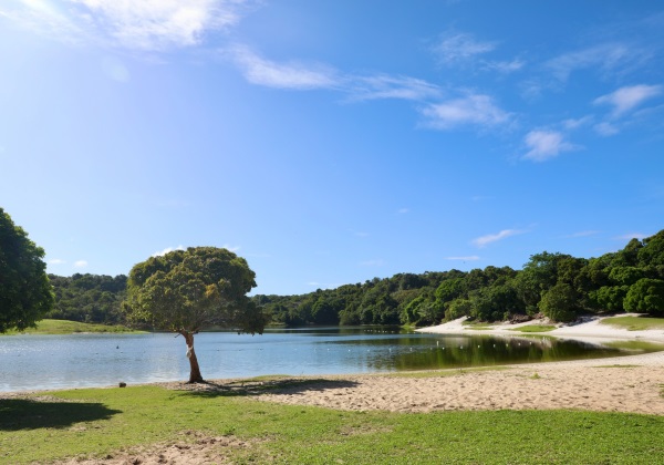 Parque do Abaeté celebra 32 anos com entrega de obras de requalificação nesta quarta (3)