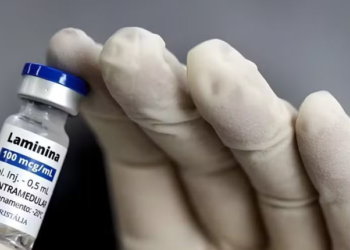 Com alta de pedidos, médicos viajam pelo Brasil para aplicar polilaminina