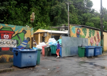 Cooperativas transformam 280 toneladas de materiais recicláveis coletados durante o Carnaval em fonte de renda
