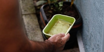 Bahia registra queda de 41% nos casos de dengue em 2026