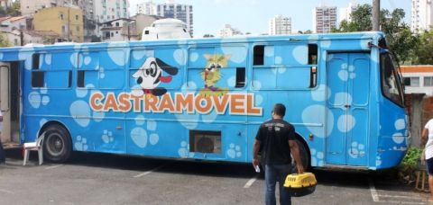 Salvador amplia proteção animal com terceiro Castramóvel e reforça oferta