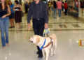 Salvador estabelece multa de até R$ 30 mil para quem impedir acesso de pessoas com cães de assistência