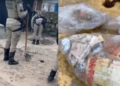 PM desenterra mais de 200 porções de drogas na praia de Itapuã