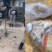 PM desenterra mais de 200 porções de drogas na praia de Itapuã